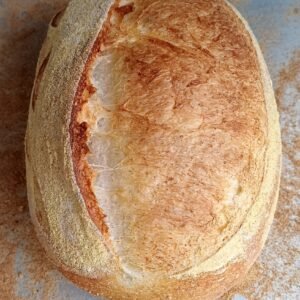 Bloque de pan de masa madre por 500gr